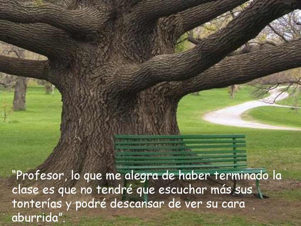 Profesor, lo que me alegra de haber terminado la clase es que no tendré que escuchar más sus tonterías y podré descansar de ver su cara aburrida .
