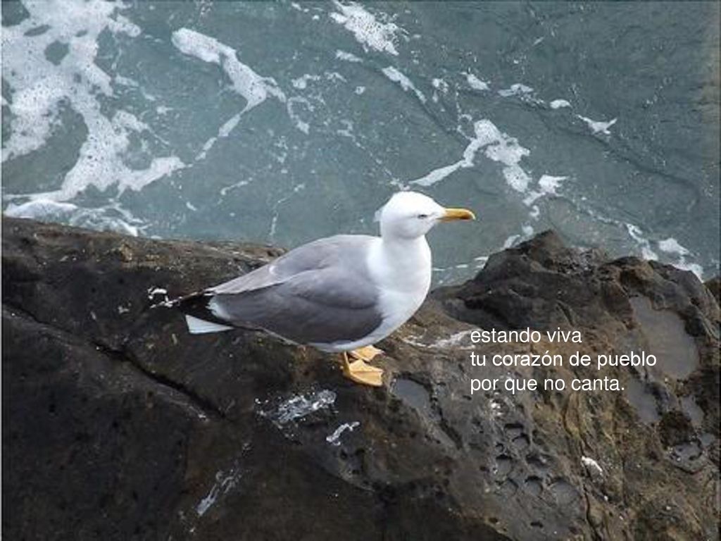 estando viva tu corazón de pueblo por que no canta.