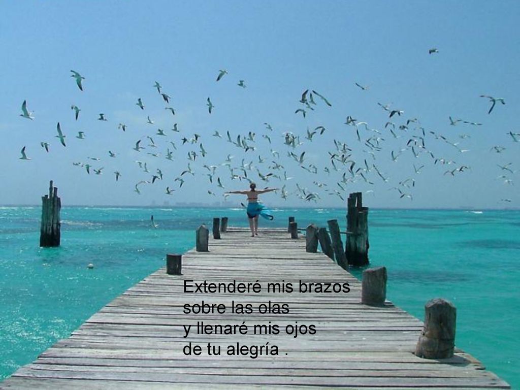 Extenderé mis brazos sobre las olas y llenaré mis ojos de tu alegría .