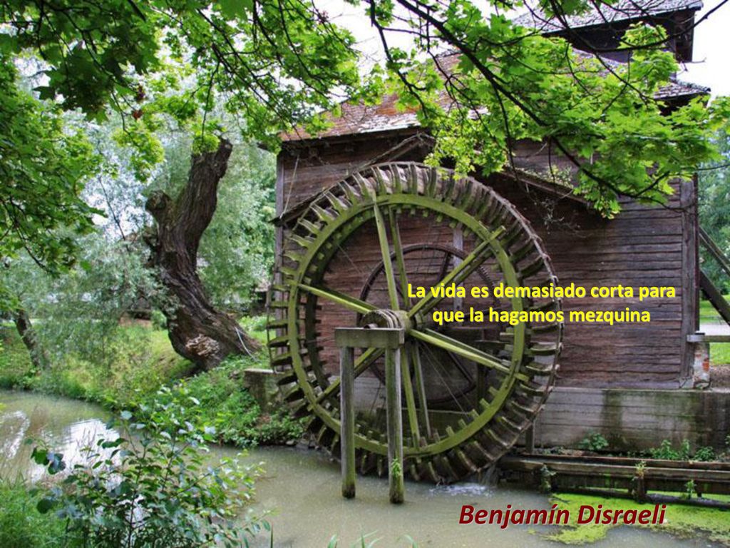 La vida es demasiado corta para que la hagamos mezquina