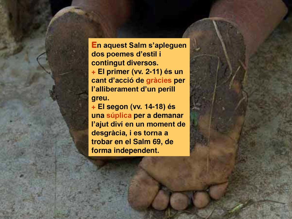 En aquest Salm s’apleguen dos poemes d’estil i contingut diversos.