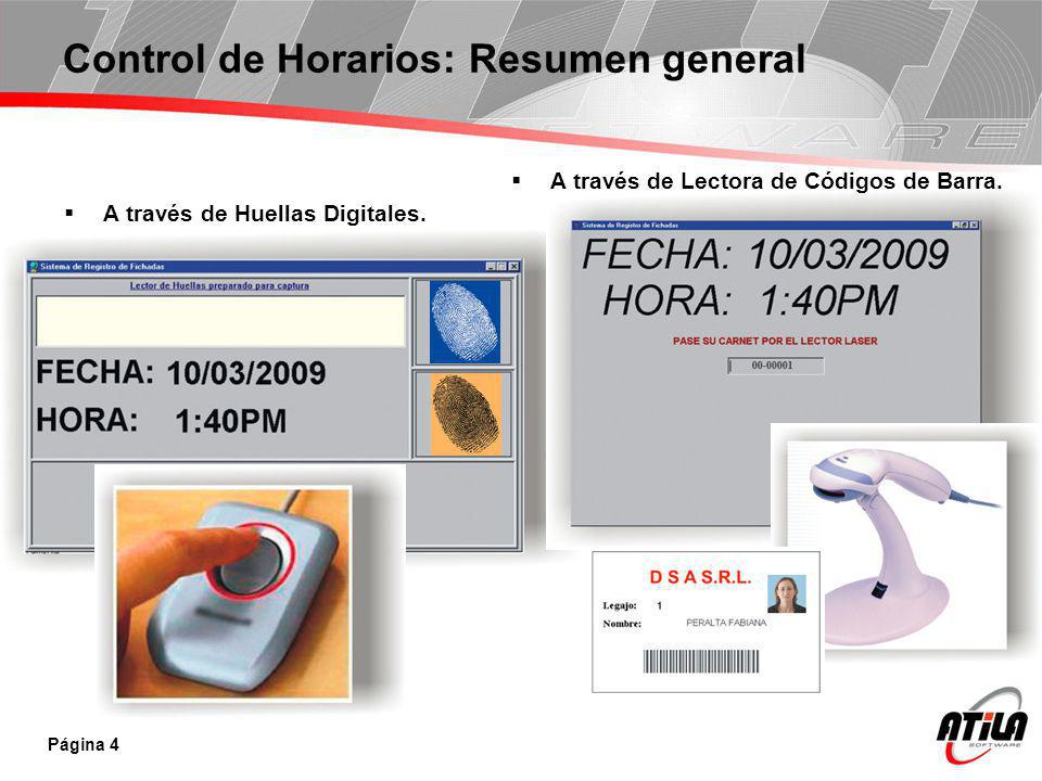Control de Horarios: Resumen general
