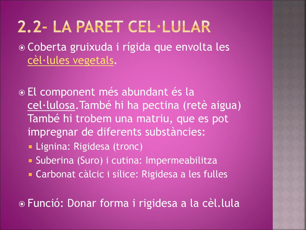 2.2- LA paret cel·lular Coberta gruixuda i rígida que envolta les cèl·lules vegetals.