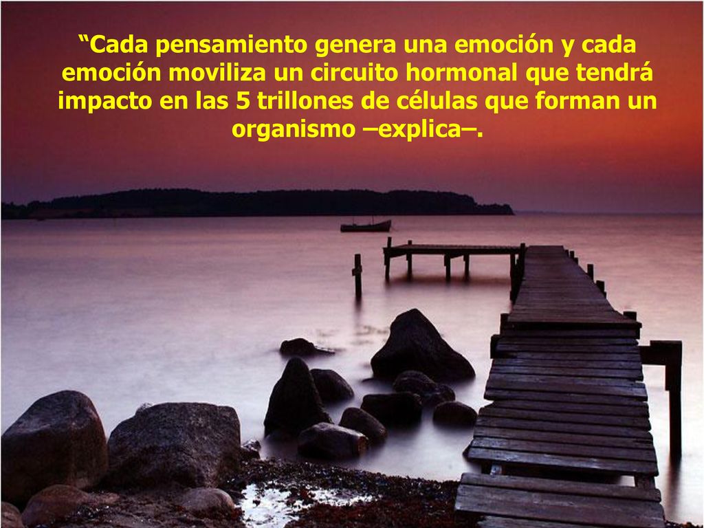 Cada pensamiento genera una emoción y cada emoción moviliza un circuito hormonal que tendrá impacto en las 5 trillones de células que forman un organismo –explica–.