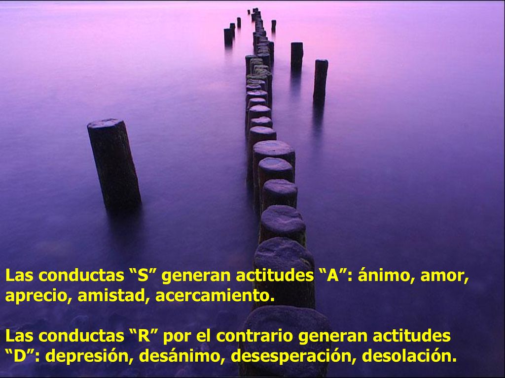 Las conductas S generan actitudes A : ánimo, amor, aprecio, amistad, acercamiento.