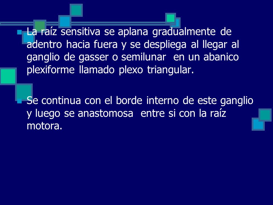 La raíz sensitiva se aplana gradualmente de adentro hacia fuera y se despliega al llegar al ganglio de gasser o semilunar en un abanico plexiforme llamado plexo triangular.