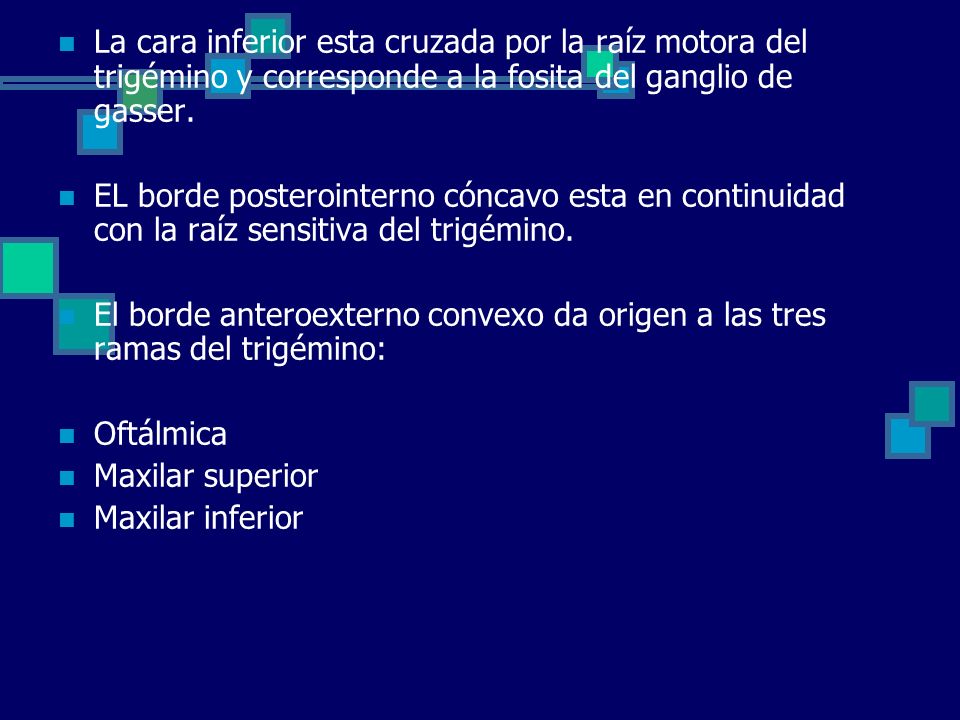 La cara inferior esta cruzada por la raíz motora del trigémino y corresponde a la fosita del ganglio de gasser.