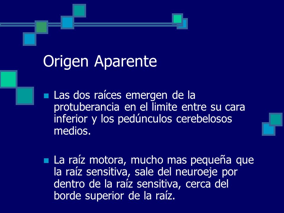 Origen Aparente Las dos raíces emergen de la protuberancia en el limite entre su cara inferior y los pedúnculos cerebelosos medios.