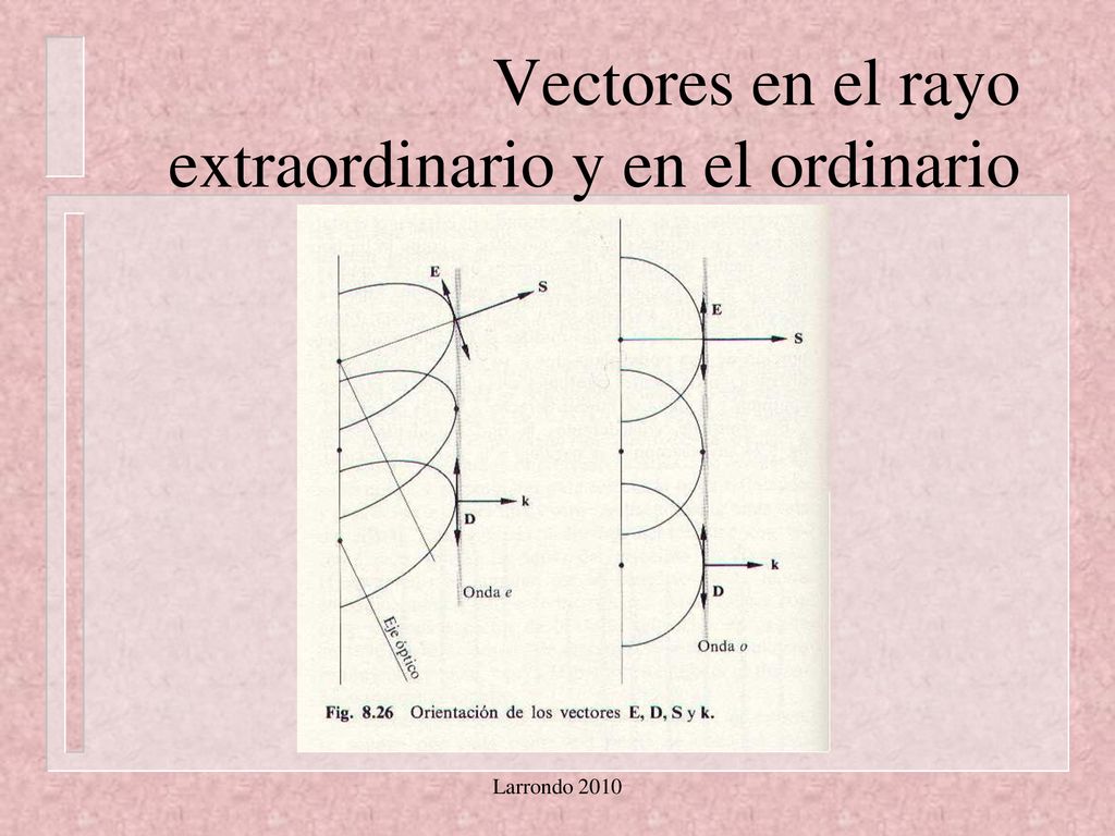Vectores en el rayo extraordinario y en el ordinario