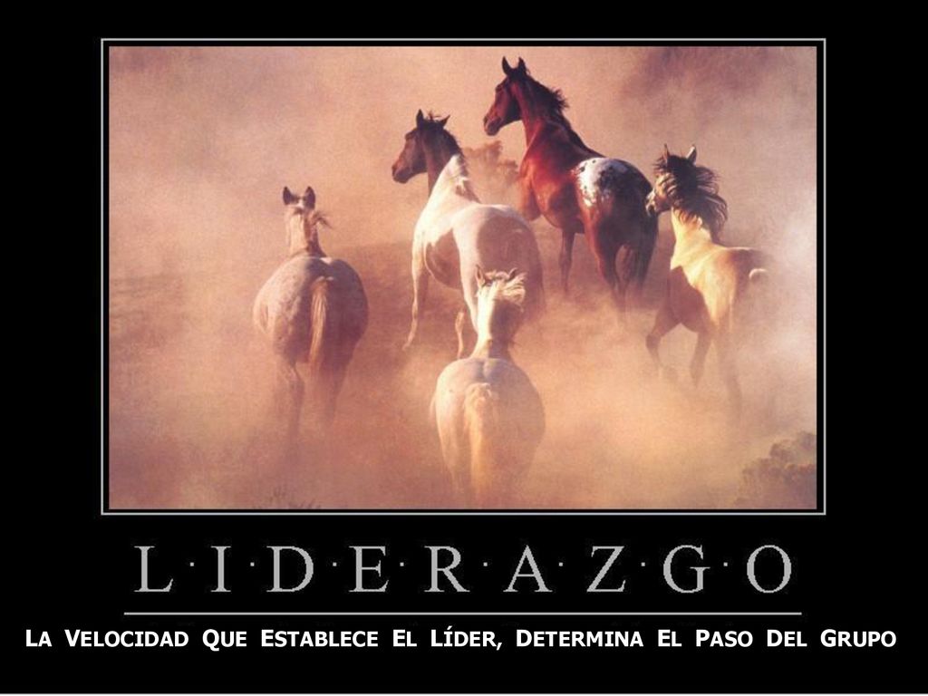 LA VELOCIDAD QUE ESTABLECE EL LÍDER, DETERMINA EL PASO DEL GRUPO