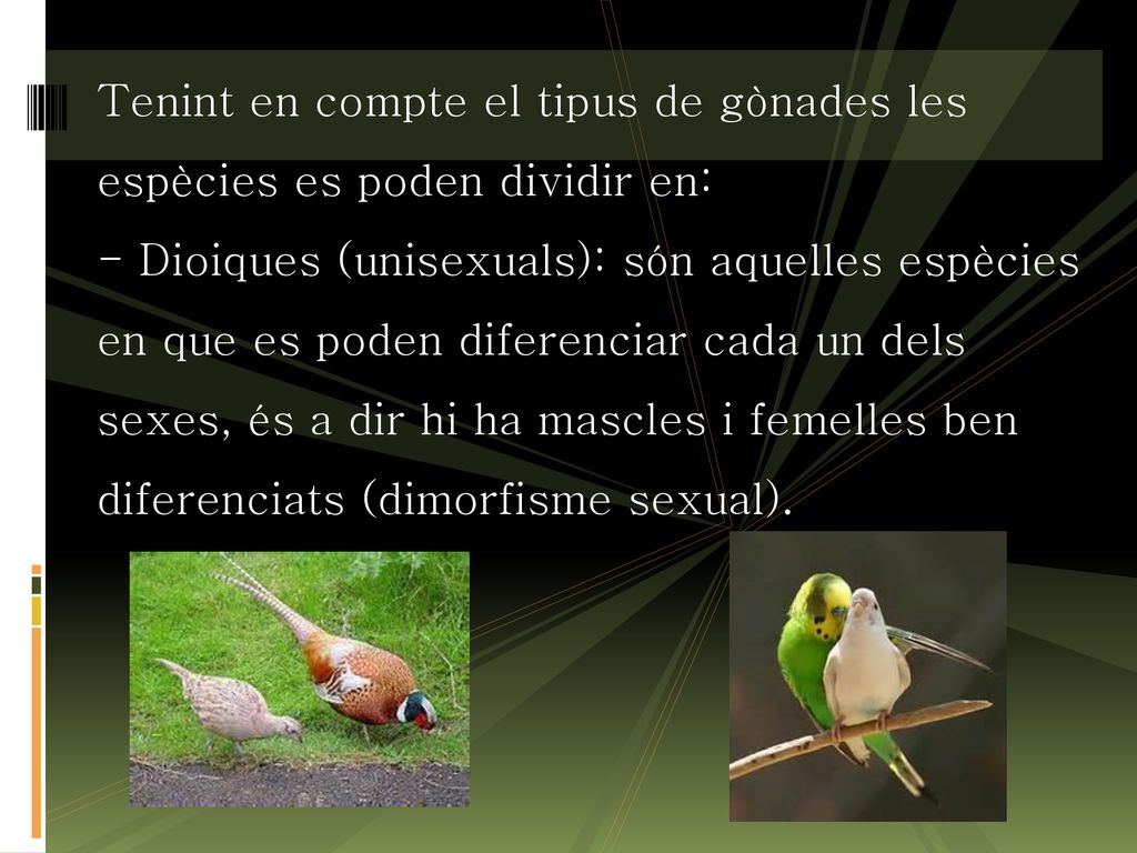 Tenint en compte el tipus de gònades les espècies es poden dividir en: