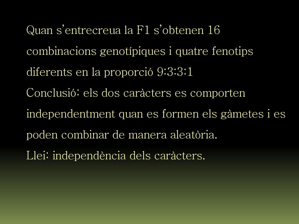 Quan s’entrecreua la F1 s’obtenen 16 combinacions genotípiques i quatre fenotips diferents en la proporció 9:3:3:1