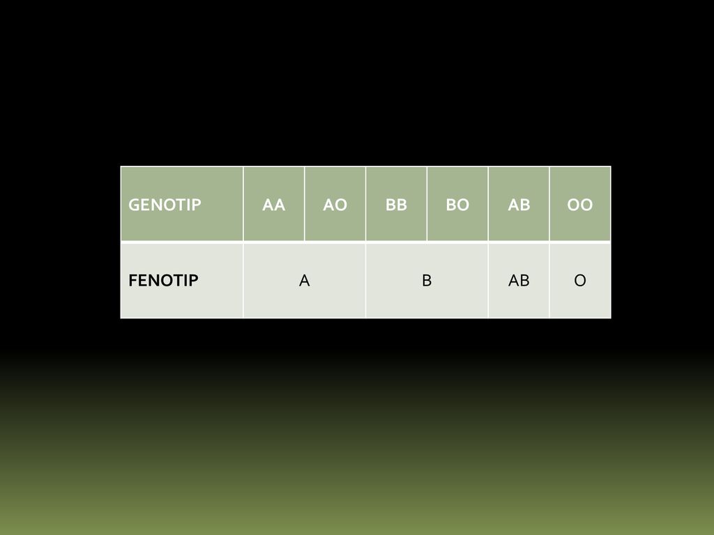 GENOTIP AA AO BB BO AB OO FENOTIP A B O