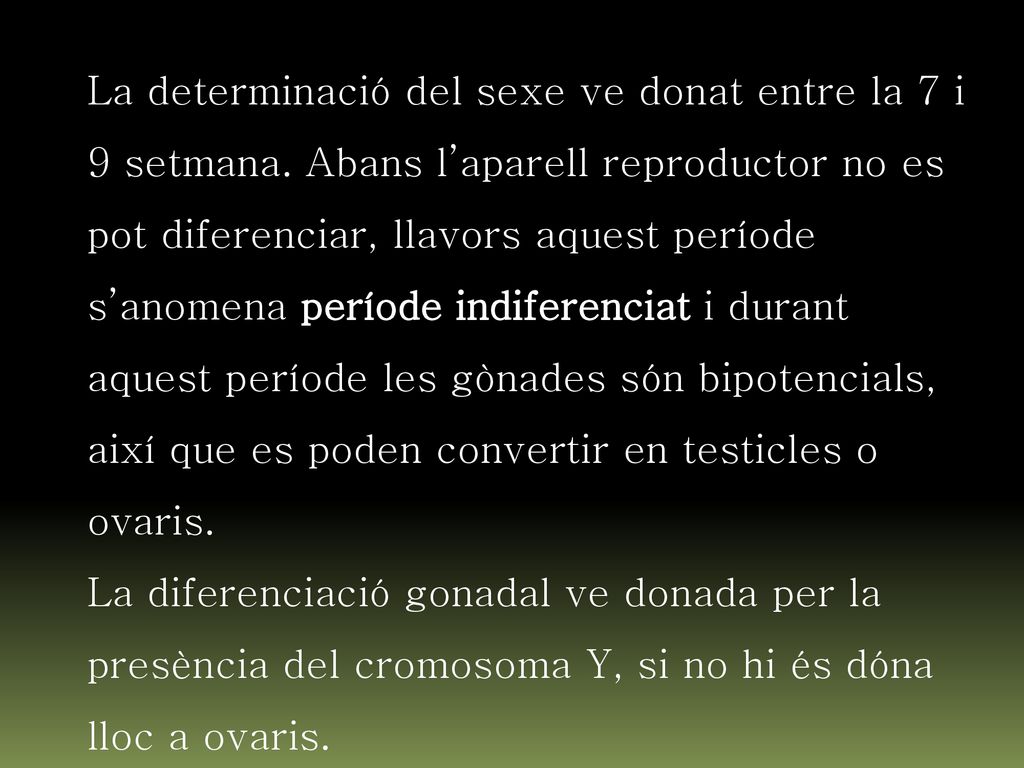 La determinació del sexe ve donat entre la 7 i 9 setmana