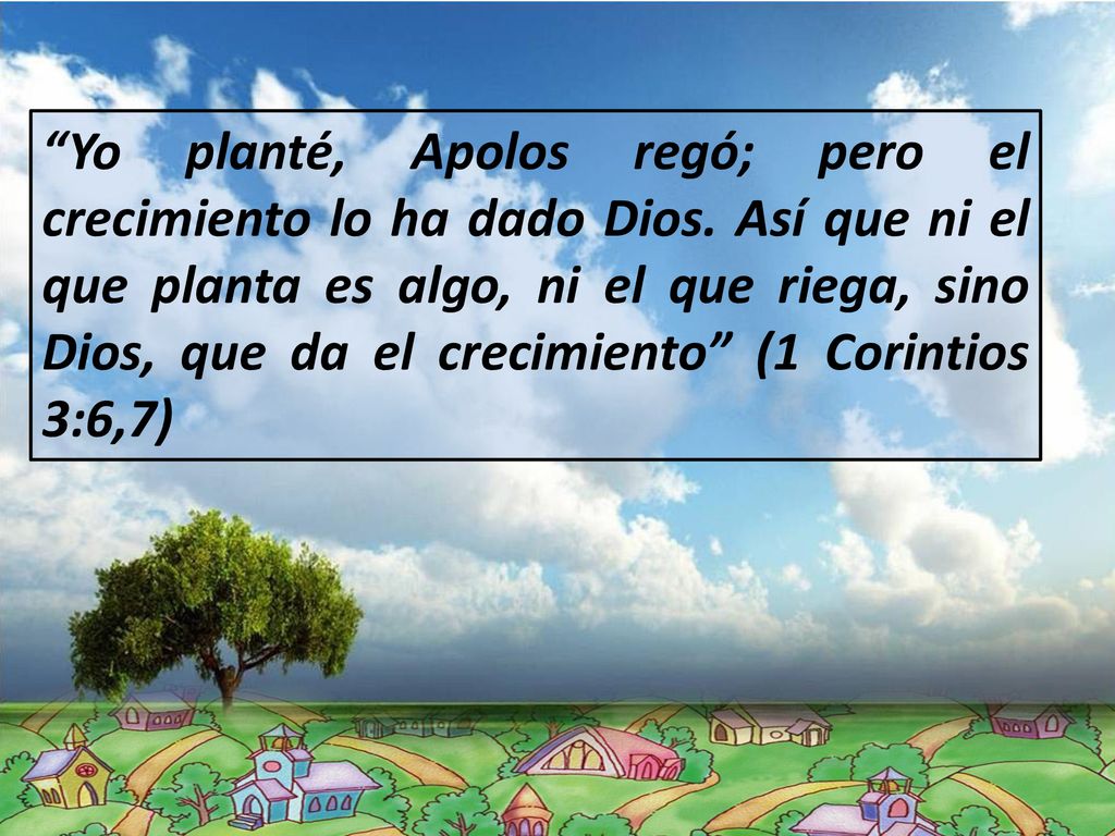 Yo planté, Apolos regó; pero el crecimiento lo ha dado Dios