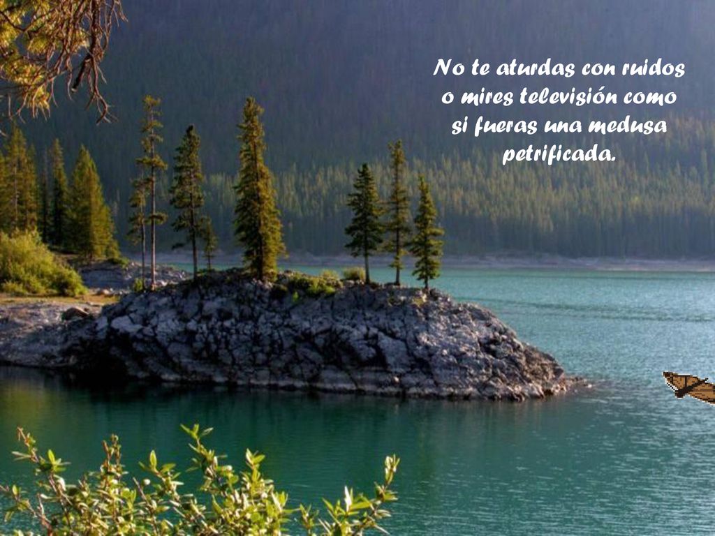 No te aturdas con ruidos o mires televisión como si fueras una medusa petrificada.
