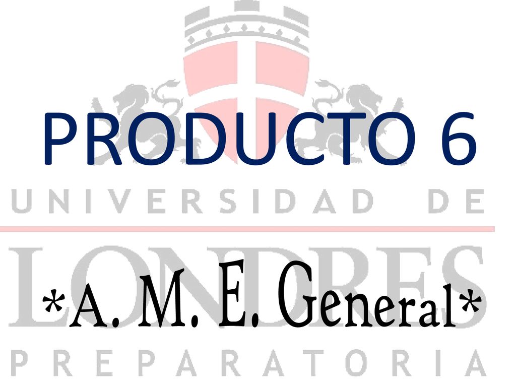 PRODUCTO 6 *A. M. E. General*
