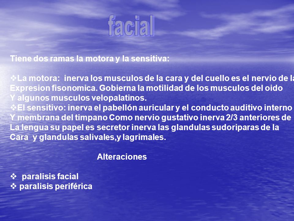 facial Tiene dos ramas la motora y la sensitiva: