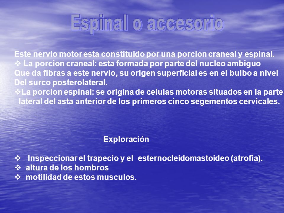 Espinal o accesorio Este nervio motor esta constituido por una porcion craneal y espinal.