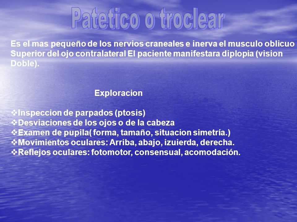 Patetico o troclear Es el mas pequeño de los nervios craneales e inerva el musculo oblicuo.