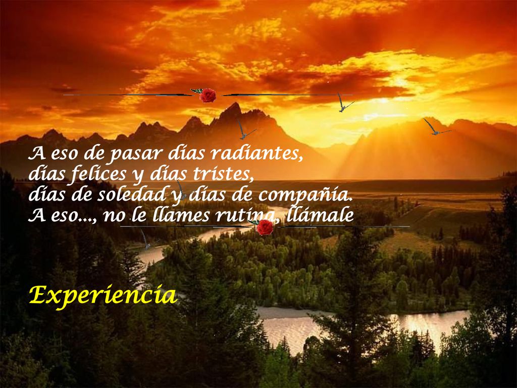 A eso de pasar días radiantes, días felices y días tristes, días de soledad y días de compañía. A eso..., no le llames rutina, llámale