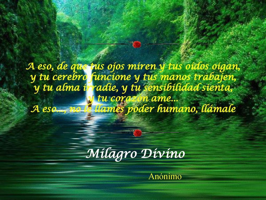 A eso, de que tus ojos miren y tus oídos oigan, y tu cerebro funcione y tus manos trabajen, y tu alma irradie, y tu sensibilidad sienta, y tu corazón ame... A eso..., no le llames poder humano, llámale
