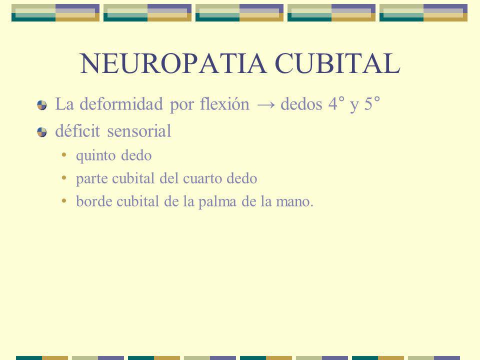 NEUROPATIA CUBITAL La deformidad por flexión → dedos 4° y 5°