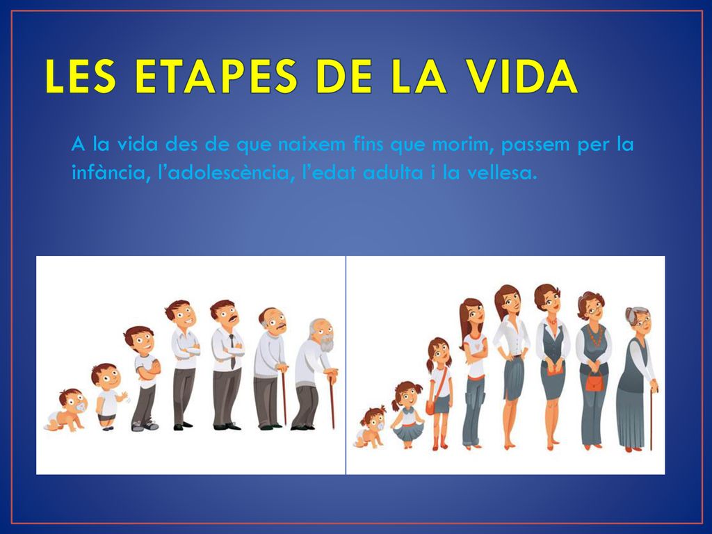 LES ETAPES DE LA VIDA A la vida des de que naixem fins que morim, passem per la infància, l’adolescència, l’edat adulta i la vellesa.