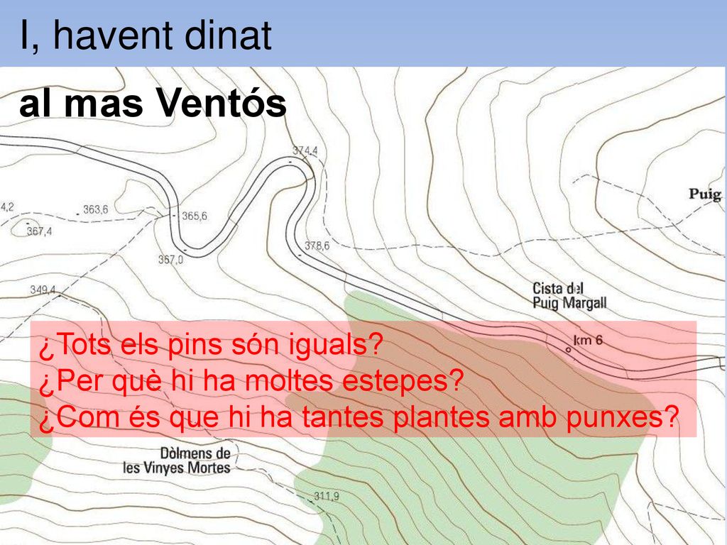 I, havent dinat al mas Ventós ¿Tots els pins són iguals