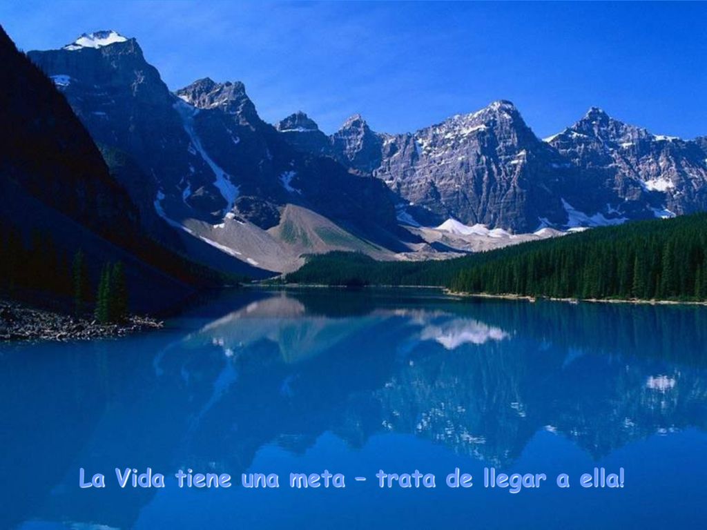 La Vida tiene una meta – trata de llegar a ella!