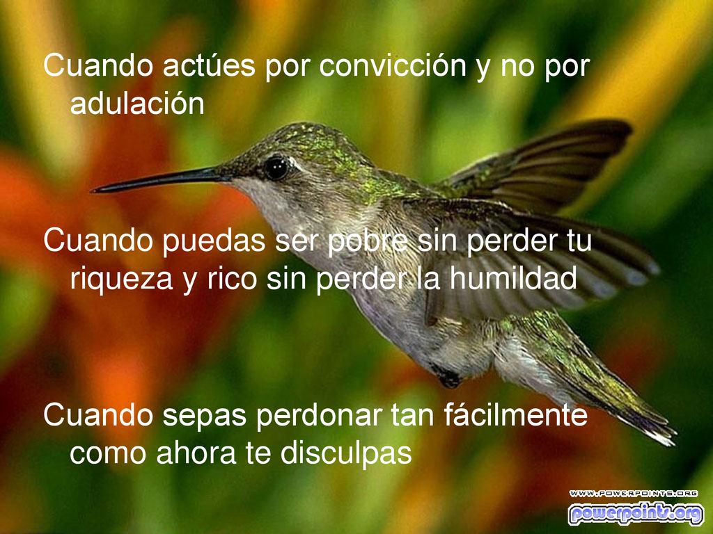 Cuando actúes por convicción y no por adulación