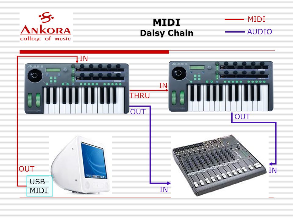 MIDI Daisy Chain MIDI AUDIO IN IN THRU OUT OUT OUT IN USB MIDI IN