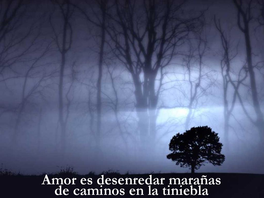 Amor es desenredar marañas de caminos en la tiniebla