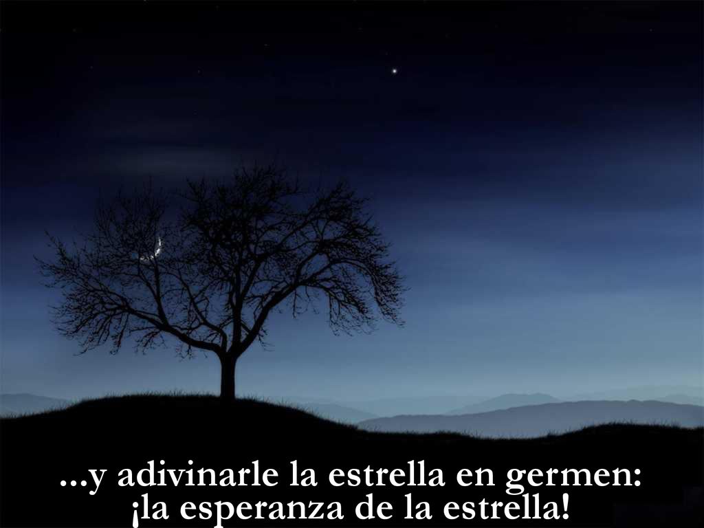 ...y adivinarle la estrella en germen: ¡la esperanza de la estrella!