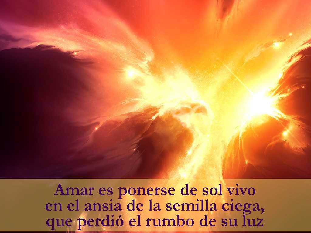 Amar es ponerse de sol vivo en el ansia de la semilla ciega, que perdió el rumbo de su luz