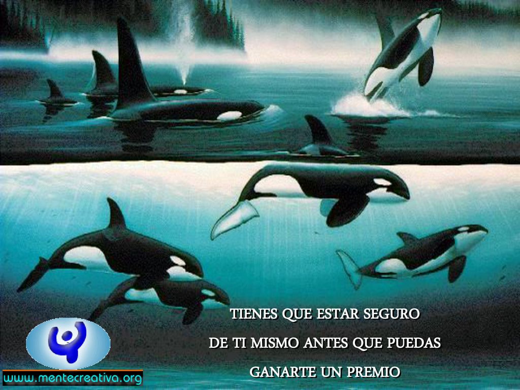TIENES QUE ESTAR SEGURO DE TI MISMO ANTES QUE PUEDAS GANARTE UN PREMIO