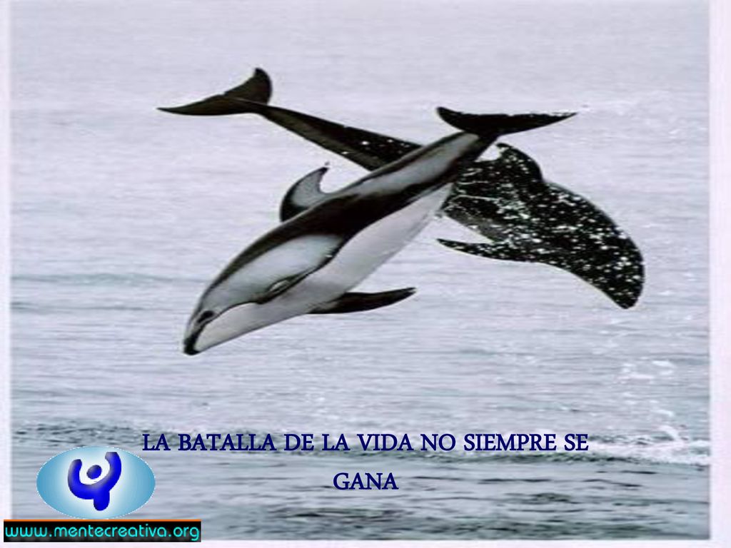 LA BATALLA DE LA VIDA NO SIEMPRE SE GANA