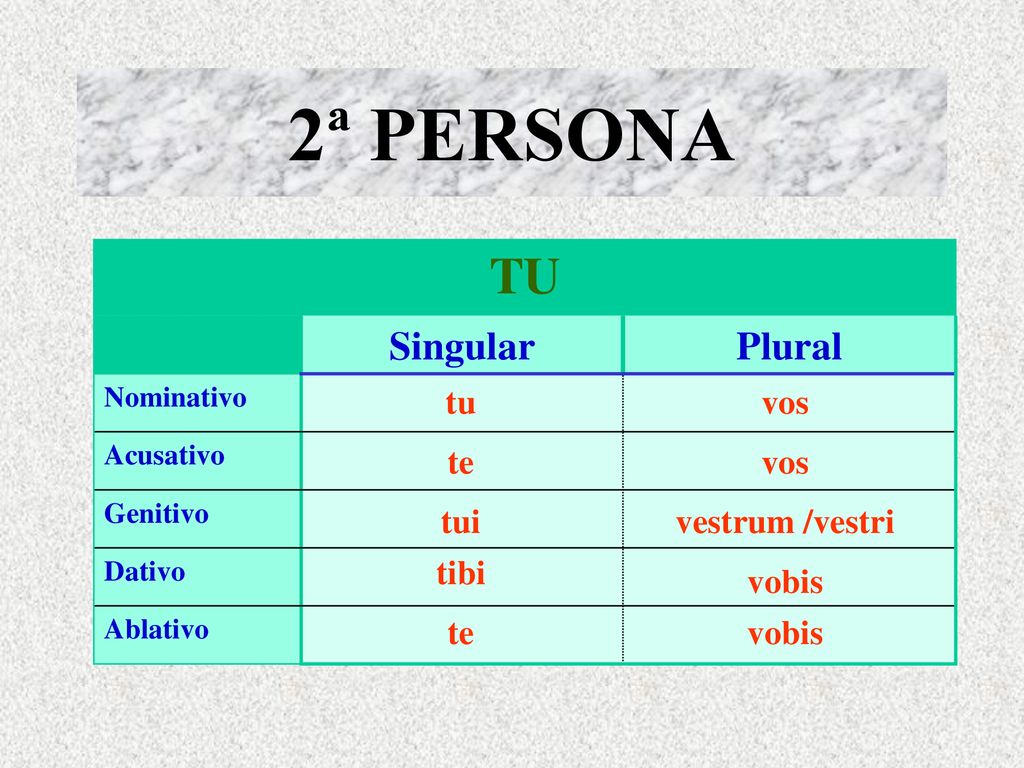 2ª PERSONA TU Singular Plural tu vos te vos tui vestrum /vestri tibi