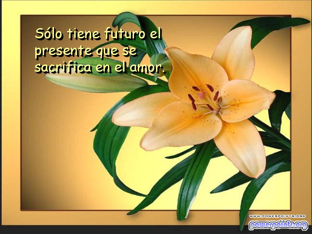 Sólo tiene futuro el presente que se sacrifica en el amor.