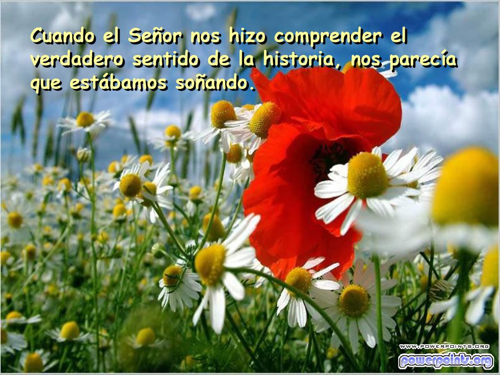 Cuando el Señor nos hizo comprender el verdadero sentido de la historia, nos parecía que estábamos soñando.