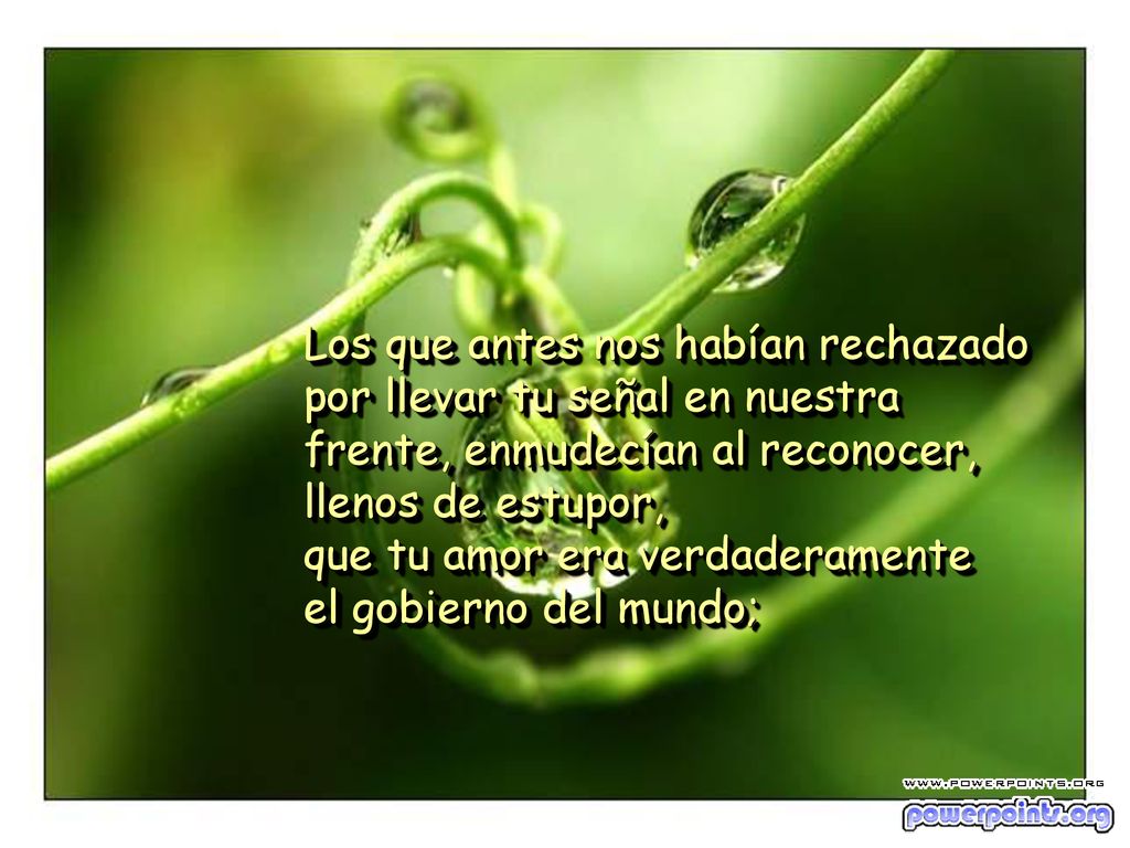 Los que antes nos habían rechazado por llevar tu señal en nuestra frente, enmudecían al reconocer, llenos de estupor, que tu amor era verdaderamente el gobierno del mundo;