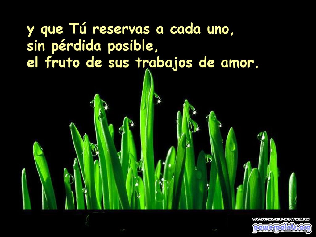 y que Tú reservas a cada uno, sin pérdida posible, el fruto de sus trabajos de amor.