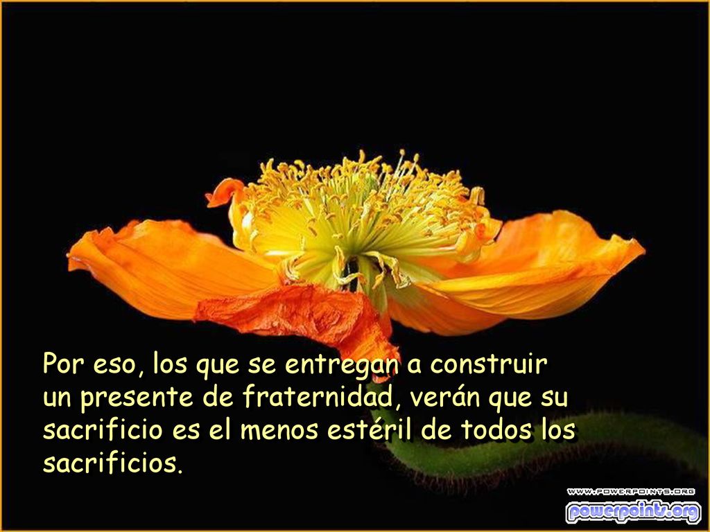 Por eso, los que se entregan a construir un presente de fraternidad, verán que su sacrificio es el menos estéril de todos los sacrificios.