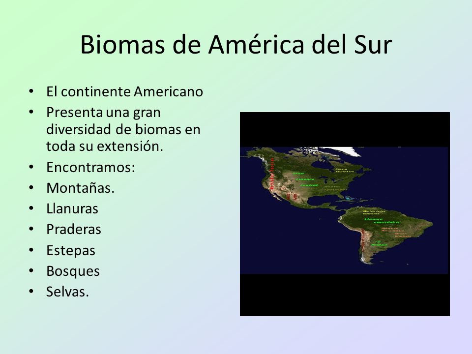 Biomas de América del Sur