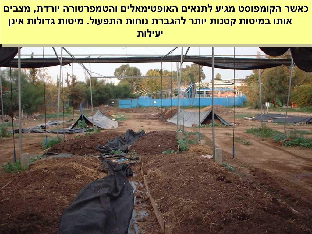 כאשר הקומפוסט מגיע לתנאים האופטימאלים והטמפרטורה יורדת, מצבים אותו במיטות קטנות יותר להגברת נוחות התפעול.
