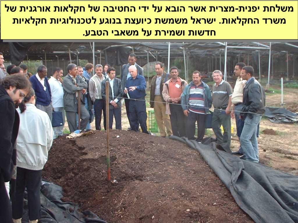 משלחת יפנית-מצרית אשר הובא על ידי החטיבה של חקלאות אורגנית של משרד החקלאות.