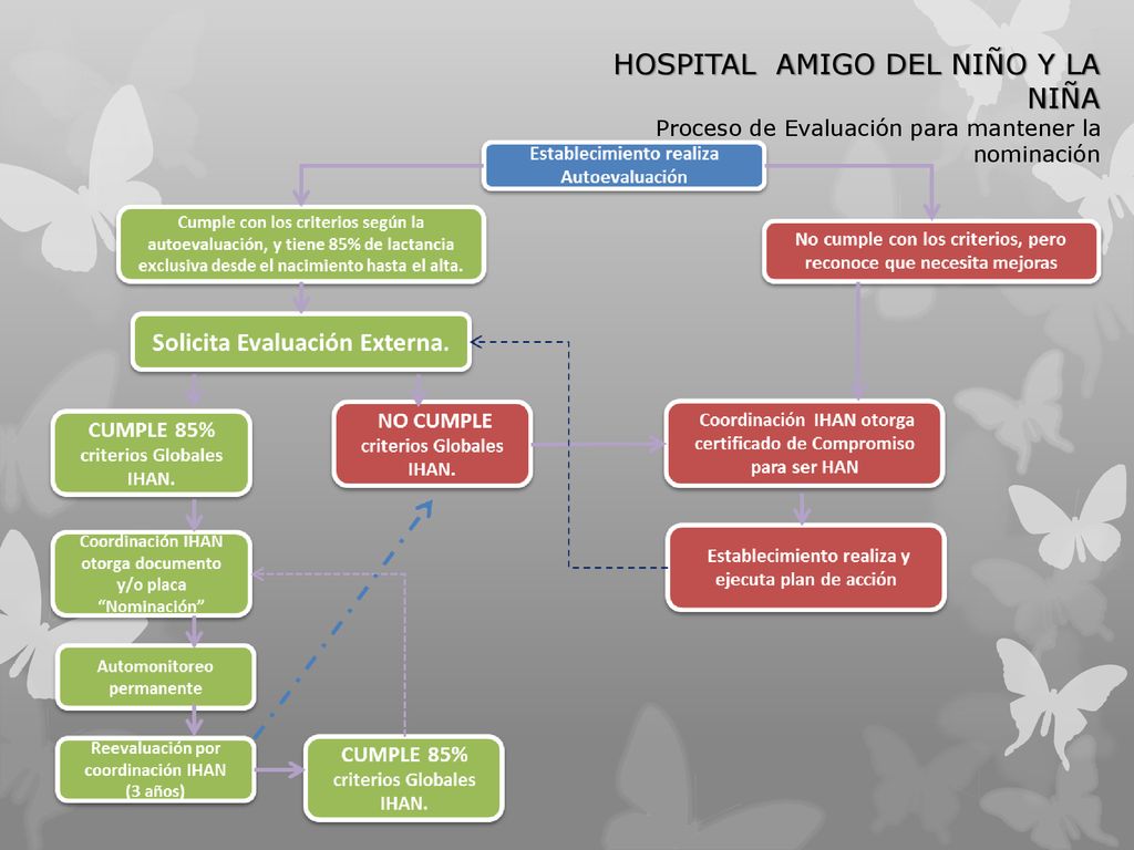 HOSPITAL AMIGO DEL NIÑO Y LA NIÑA Proceso de Evaluación para mantener la nominación
