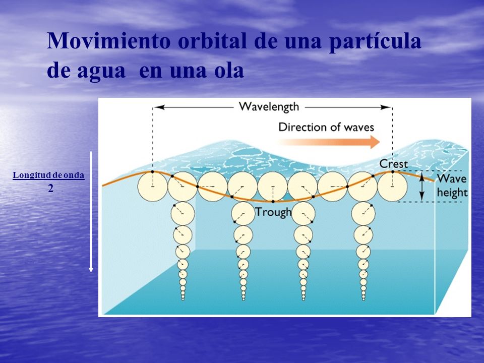 Movimiento orbital de una partícula de agua en una ola