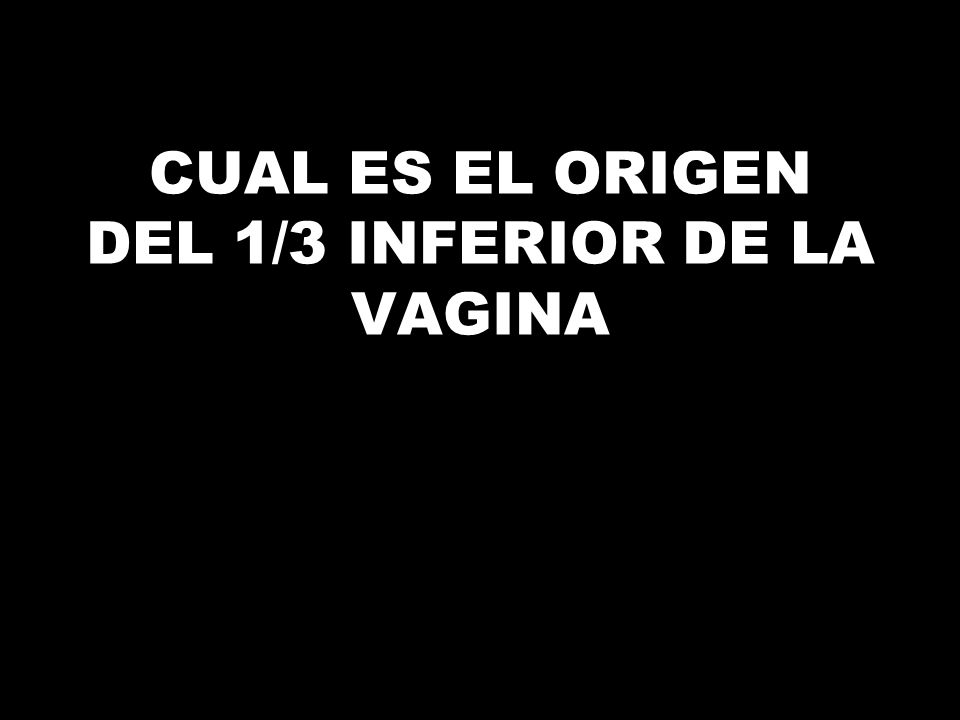 CUAL ES EL ORIGEN DEL 1/3 INFERIOR DE LA VAGINA