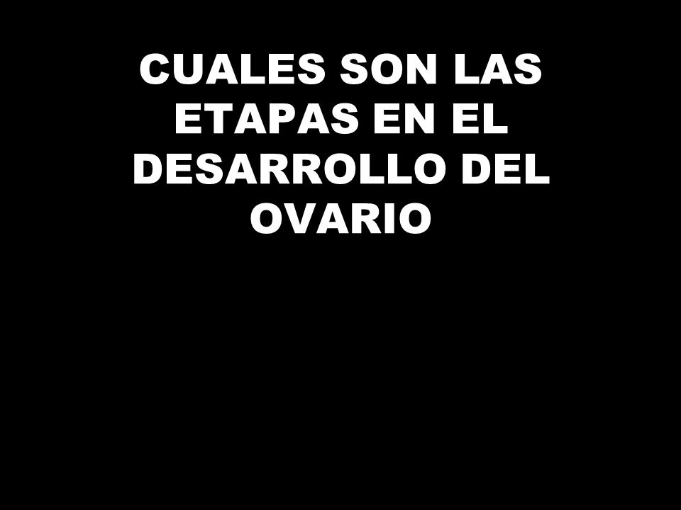 CUALES SON LAS ETAPAS EN EL DESARROLLO DEL OVARIO